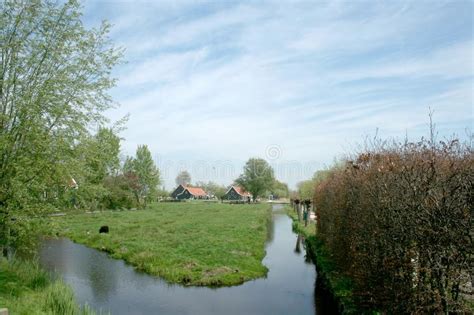 Museo Del Aire Abierto El Zaanse Schans Imagen Editorial Imagen De