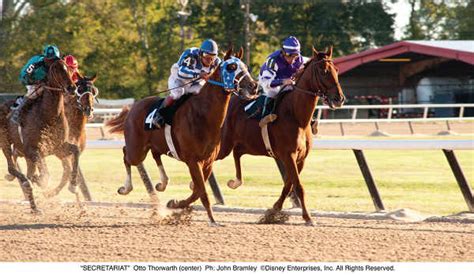 Secretariat And Penny Chenery Meet The Woman Behind The Horse The