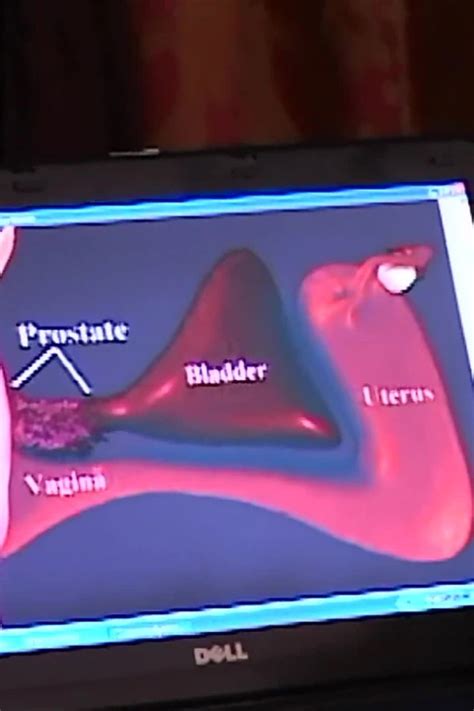 How To Make Her Squirt And How It Works BBW Porn By FapHouse XHamster