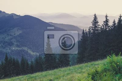 Nebelhafte Landschaft Mit Tannenwald Im Retro Stil Des Hipster