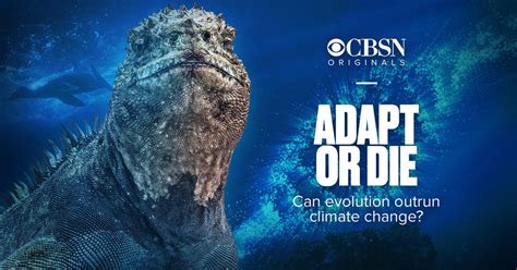adapt  die  evolution outrun climate change cbsn originals