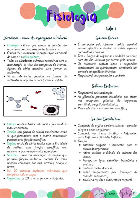 O Que A Fisiologia Estuda - Fisiologia - Aula 1 a 7 - Fisiologia: ciência que estuda as funções do ...