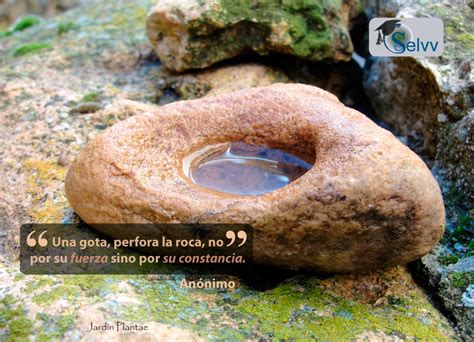 Una gota, perfora la roca, no por su fuerza sino por su constancia