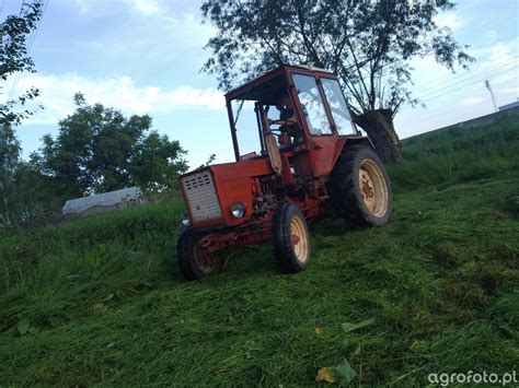 Zdjęcie ciągnik T-25 id:757848 - Galeria rolnicza agrofoto