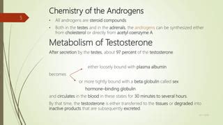 Male Sex Hormones Pptx