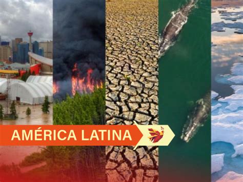 Mudanças climáticas na América Latina e Caribe podem gerar oportunidades Socialismo Criativo