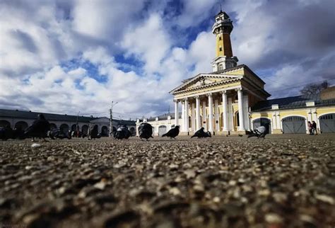 Костромские голуби - наш неофициальный символ города. ️ | Кострома ...