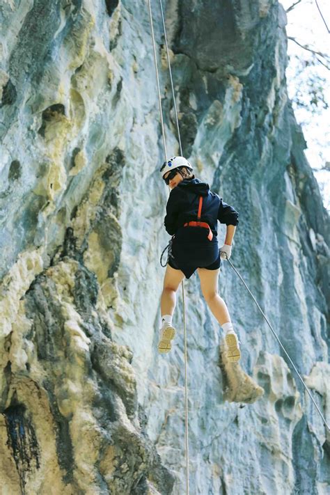 AISL LionView Gallery - AISL Harrow Schools