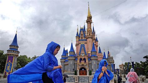 Investors are reacting to the latest RW New York earnings report 32