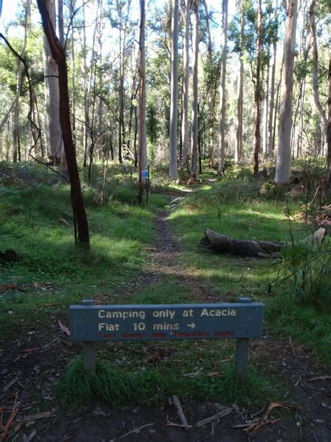 Perrys Lookdown To Blue Gum Forest Walking Track