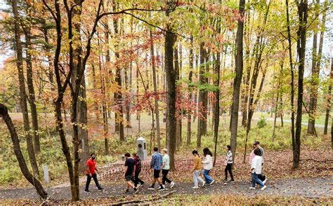 The surprising story behind the founding of the valley news agency 23