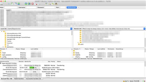seedboxio  definitive review