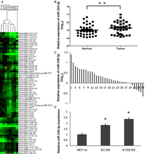 Expression Of Mir P In Escc Specimens A Differentially