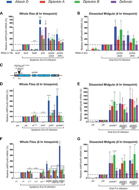 Signal Integration By The I B Protein Pickle Shapes Drosophila Innate