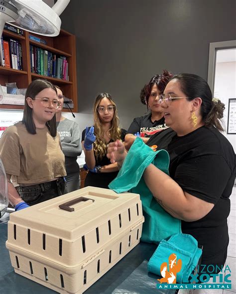 arizona exotic animal hospital phoenix az 8