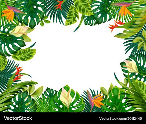 Cartoon Plant Frame Liana Branches And Tropical Vector Image