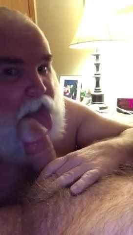 Free Polar Bears Gay Porn Videos Xhamster