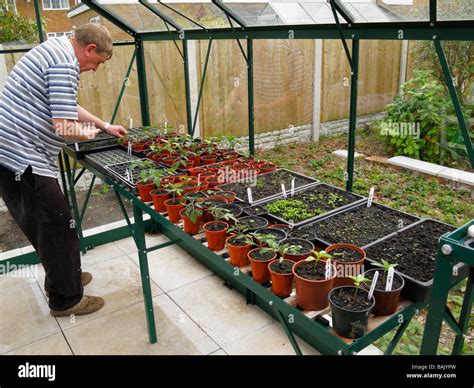 Potting Bench Hi Res Stock Photography And Images Alamy