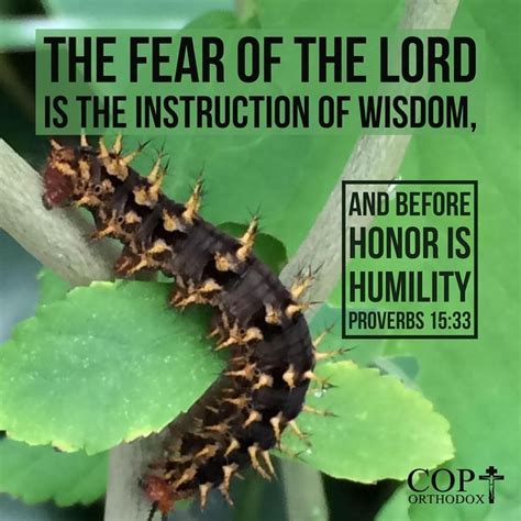 Proverbs 15 33 The Fear Of The Lord Is The Instruction Of Wisdom And