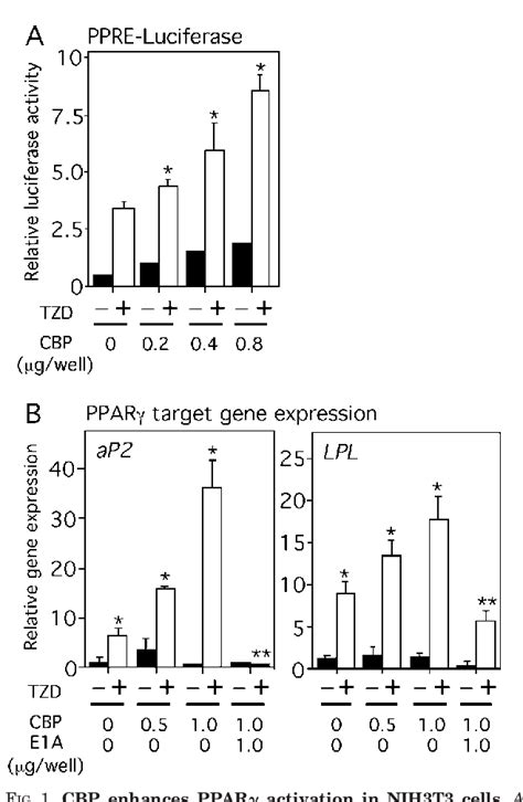 Figure From Overexpression And Ribozyme Mediated Targeting Of