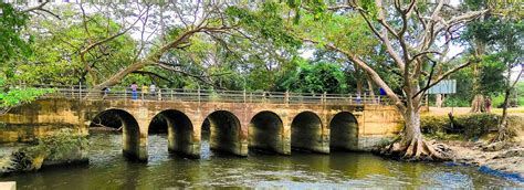 Giants Tank Attractions In Mannar Love Sri Lanka