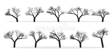 Naked Trees Silhouettes Set Hand Drawn Isolated Stock Illustration Illustration Of Sketch