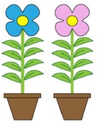 Chapter Basic Principles Of Heredity And Sex Determination Sex