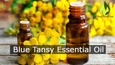 natures natural india blogs connecting sustainable health