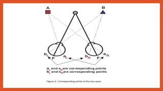 Binocular Vision And Space Perception Ppt