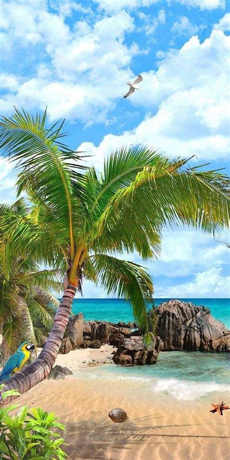 Solve Plage Paradisiaque Jigsaw Puzzle Online With 128 Pieces