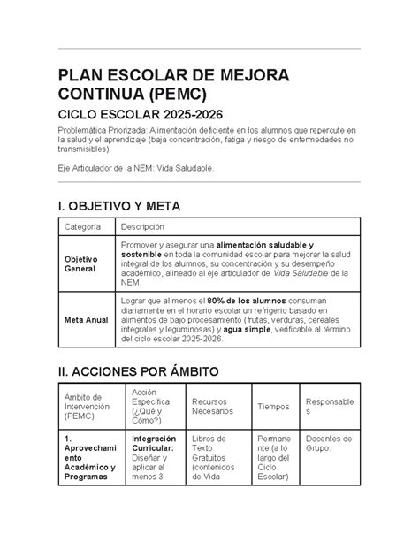 Ejemplo De Programa Escolar De Mejora Continua 2019 9