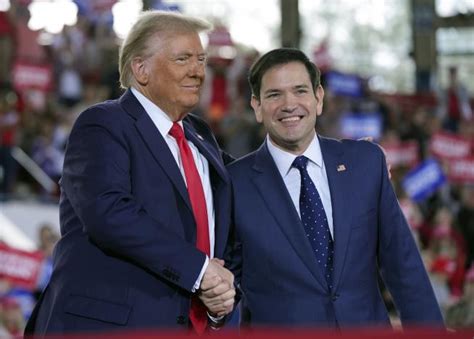 Rubio Is Trump S Pick For Secretary Of State