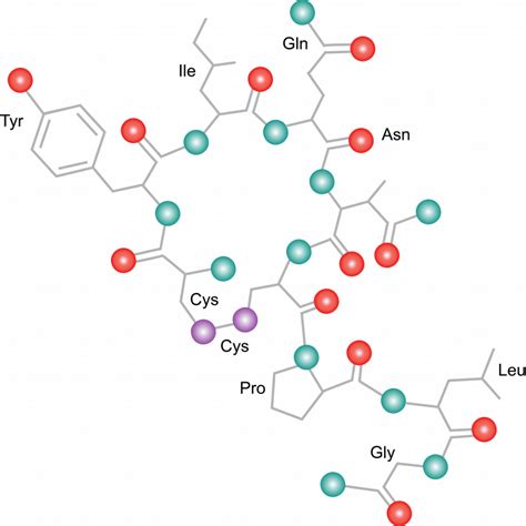 What Are Proteins The Evolution And Biology Of Sex