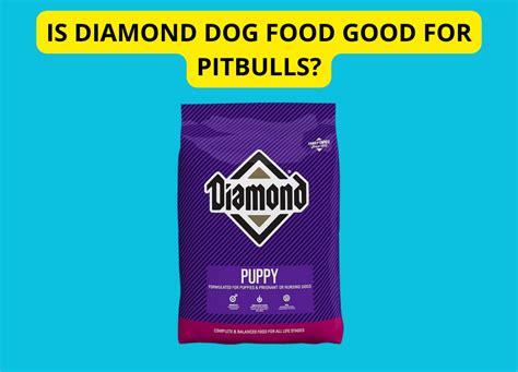 Is Diamond Dog Food Good For Pitbulls Find Out Now