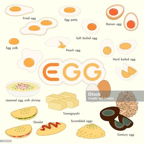 egg cook     formed  dish illustration vector