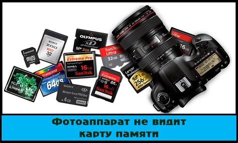 Что делать, если фотоаппарат не видит карту памяти