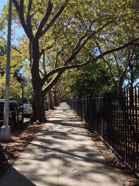 Best 12 Mccarren park brooklyn ny – Artofit