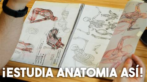 ESTUDIA ANATOMÍA ASÍ Cómo estudiar anatomía Enseñando mi cuaderno