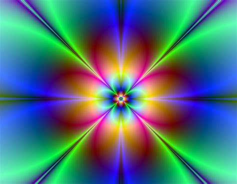 Neon Daisy Free Stock Photo - Public Domain Pictures