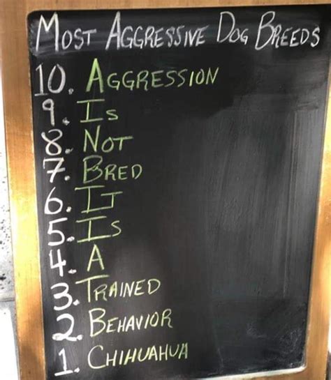 Most Aggressive Dog Breed : r/funny