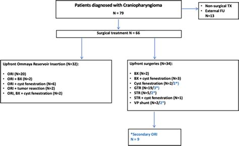 Flowchart Illustrating Treatment Decisions Download Scientific Diagram