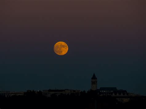 Home moon