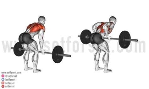 8 Best Barbell Back Exercises for Strength & Mass - SET FOR SET