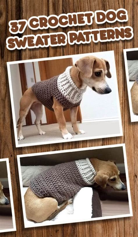 37 Crochet Dog Sweater Patterns - Crochet News