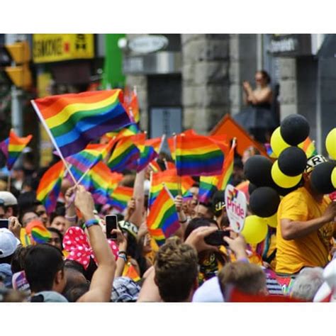 Mini Rainbow Flags Gay Pride Handheld Stick Flags In Pack Pack Fred Meyer