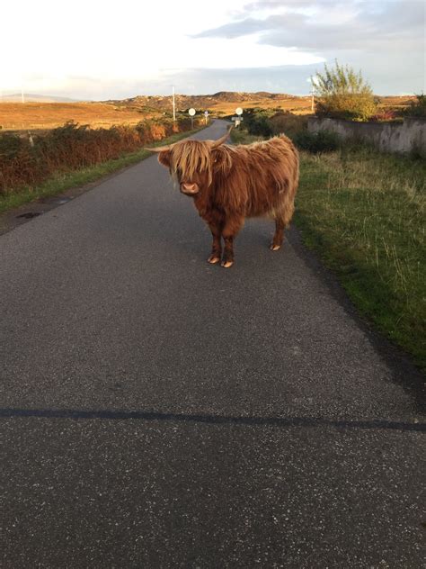 Highland Explorer Tours - Home | Facebook