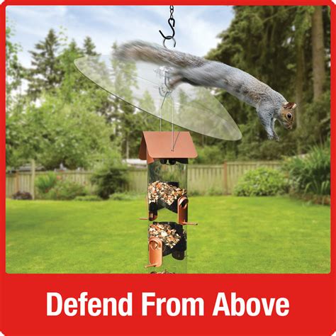 Squirrel Shield 16-inch Dual-Mount Transparent Squirrel Baffle (Model ...