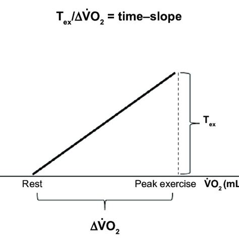 Exercise Time T Ex Oxygen Uptake V O 2 That Is Time Slope