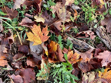 Hagerstown, MD Local News | Herald-Mail Media