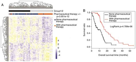 A Comprehensive Analysis Of Prognosis Prediction Models Based On